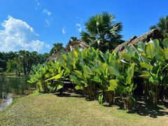 -中国科学院西双版纳热带植物园