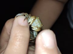 -秦皇岛阿尔卡迪亚滨海度假酒店