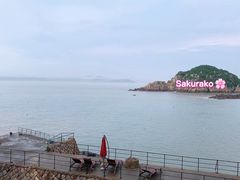 -桃花岛风景旅游区