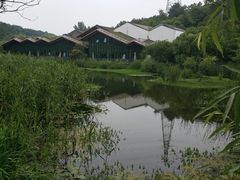 -西湖风景区-江洋畈生态公园