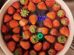 -江杨农产品批发市场