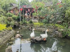 -青城甲(青城山店)