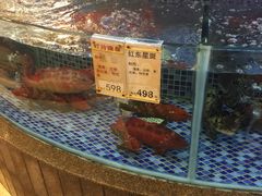 -太子园林酒家