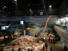 -自贡恐龙博物馆