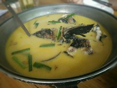 东江鲟鱼-天怡·鱼工厂(梅溪湖店)