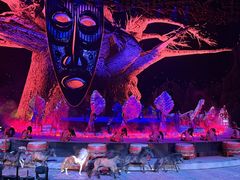 -广州长隆国际大马戏