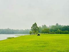 -美的鹭湖森林度假区