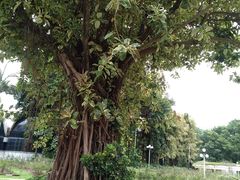 -人民公园(罗湖区)