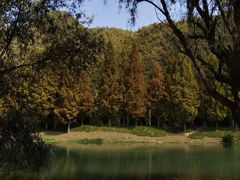 -贵阳市花溪国家城市湿地公园