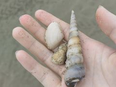 -南澳海滩