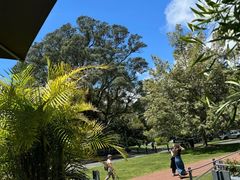 -Cornwall Park Bistro