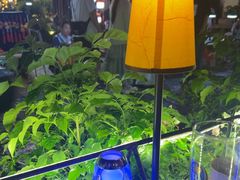 -山色西餐·柴火烤披萨