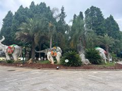 -云南民族村