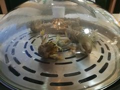 -港畔赶海蒸汽海鲜烧烤自助(仙螺岛店)