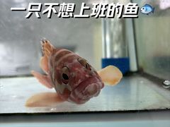 -南园酒家(前进路店)