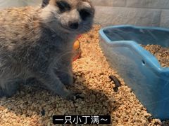 -平行世界·猫咖(首经贸店)