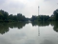 -九里河湿地公园