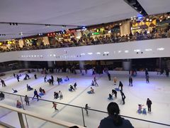 -TheRink大零溜冰场(IFS国金中心店)