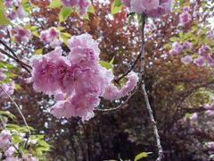 -苏州工学院(东湖校区)