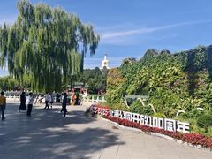 -仿膳饭庄·宫廷风味(百年传承店)