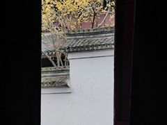 -宁波市保国寺古建筑博物馆