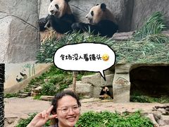 -中国大熊猫保护研究中心雅安碧峰峡基地