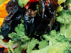 -肖家客饸饹面(郑州总店)