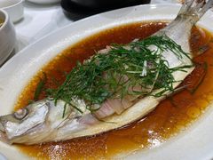 清蒸白水鱼-和记小菜(东方店)