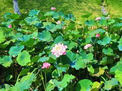 -沐仙湖湿地公园