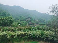 -桃花岭景区