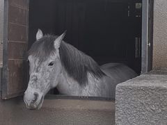 -宁海安岚·南溪阁全日餐厅