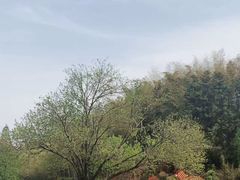 -万佛湖风景区