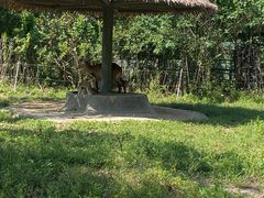 -宁波野生动物园