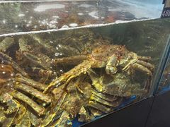 -蟹之国·精品蟹料理(极地店)