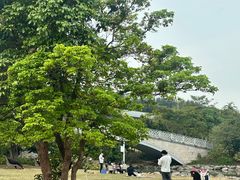 -宝安西湾红树林湿地公园