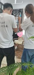 -大树儿童摄影