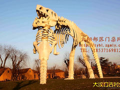 -太阳部落