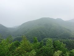 -宁波浙东大竹海景区