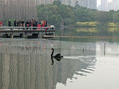 -成都南湖公园