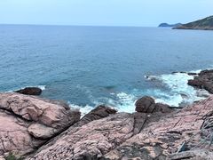 -广东惠东海龟国家级自然保护区