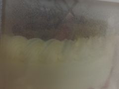 -糕小爱动物奶油生日蛋糕定制(晋江万达店)