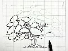 -杨梅红艺术教育(北京金源购物中心校区)