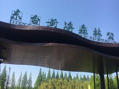 -黄海国家森林公园