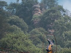 -缙云山景区