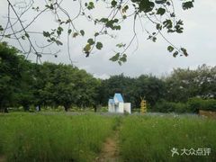 -南沙蒲洲花园