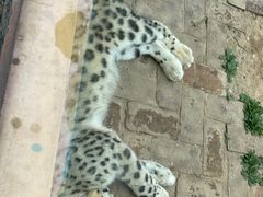-青藏高原野生动物园