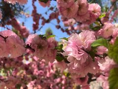 -土楼观-北禅寺
