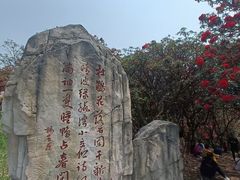 -贵州百里杜鹃风景名胜区