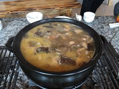 -蘑统田下·野生菌火锅