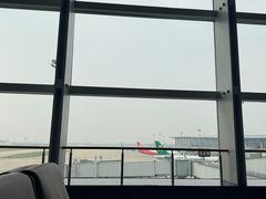 -石家庄正定国际机场-T2航站楼